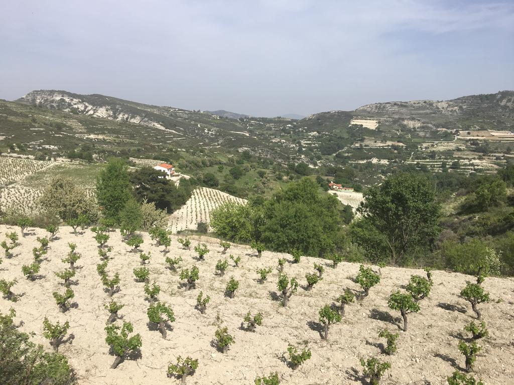 Koilani Village House Dış mekan fotoğraf