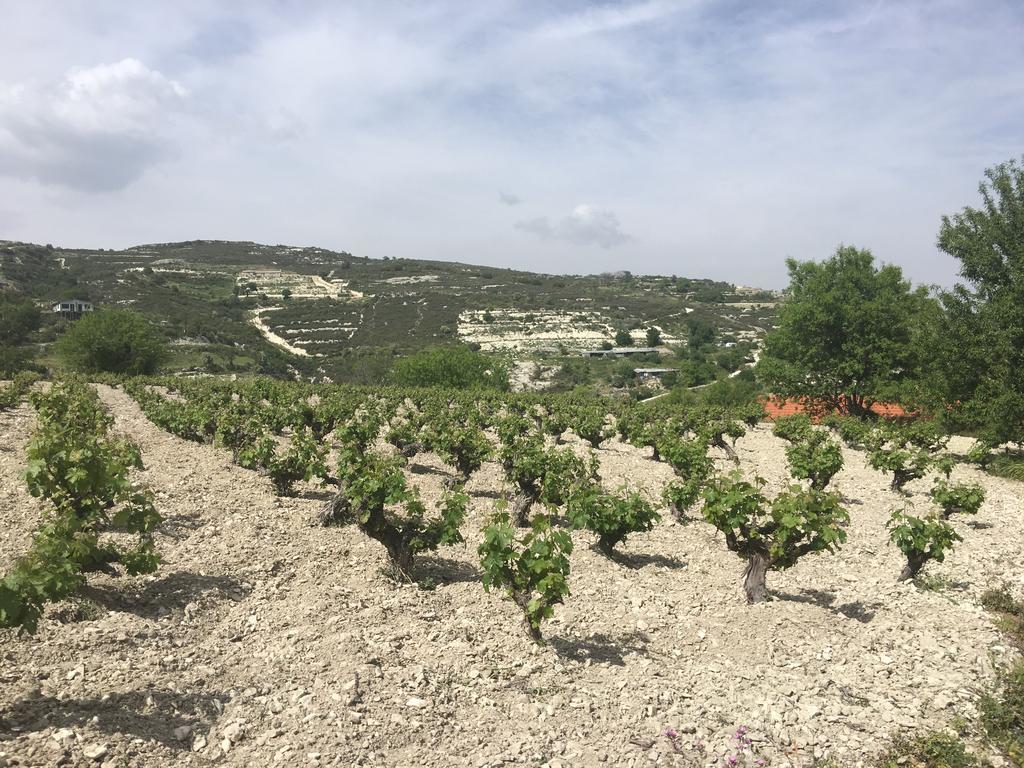 Koilani Village House Dış mekan fotoğraf